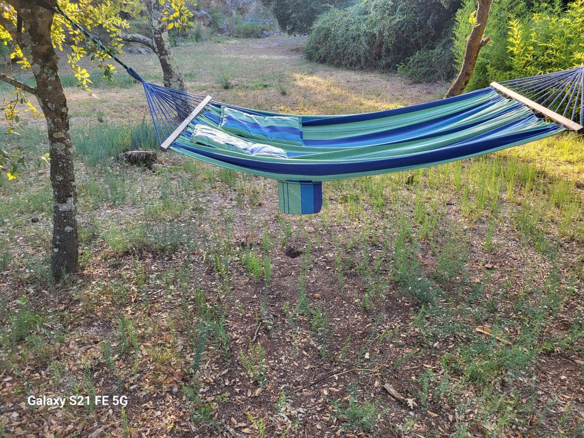 Un écrin de verdure et plus.. Besse-sur-Issole Extérieur photo